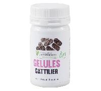 Herbier de Gascogne Gattilier Bio 90 Gélules