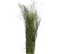Herbier décoratif avec branches Nature Herbier décoratif 65×12cm
