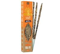 HERBIO Encens Smudge Naturel - Bâtonnets Purifiants 100% Plantes & Résines - Certifié Ecocert - Combustion 60 Min - Paquet 20g - Purification, Résines & Huiles Essentielles (Cannelle)