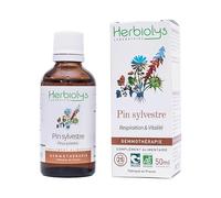 Herbiolys | Macérat de bourgeons Bio | Pin sylvestre (Pinus sylvestris) | Respiration & Vitalité | Gemmothérapie Bio | 50 ml