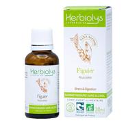 Herbiolys | Macérat de bourgeons sans alcool | Figuier (Ficus carica) | Stress & Digestion | Gemmothérapie Bio | 30 ml