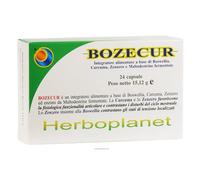 Herboplanet Bozecur 24comp