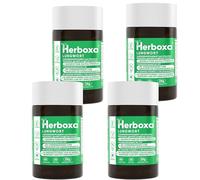 Herboxa Lungwort Pulmonaire Avec 550 Mg De Lungwort Tacheté - Contient De L'acide Folique Pour Réduire La Fatigue Et L'épuisement, De La Vitamine C, Du Quercétine, Du ProG-Phen - 240 Capsules Véganes
