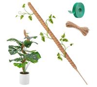 Herbst Monstera Tuteur de 120 cm - Bâton de coco souple Monstera avec corde fixe de 4 m - Bâton de mousse pour Monstera en fibre de coco naturelle