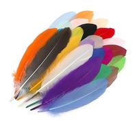 HERCHR 25pcs Plumes Colorées, Plumes d'oie Colorées Naturelles Plumes Artisanales Assorties Plumes De Couleurs Arc-en-Ciel pour Bricolage Artisanat, Décorations De Fête De Mariage à la Maison