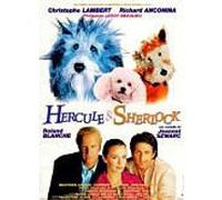 Hercule et Sherlock G