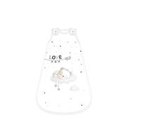 Herding Baby Best Gigoteuse pour Bébé Sleeping Little Bear, motif Ourson, 70 x 45 cm, fermeture éclair sur le pourtour et boutons-pression