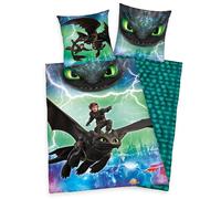 Herding DREAMWORKS DRAGONS Parure de Lit Réversible, Housse de Couette 135 x 200