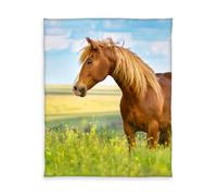 Herding Young Collection Couverture Polaire, Cheval, 130 x 160 cm, Polyester