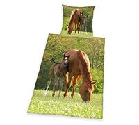 Herding YOUNG COLLECTION Parure de Lit, Cheval, Housse de Couette 135 x 200 cm, Taie d'Oreiller 80 x 80 cm, Coton/Renforcé 4424028050 Multicolore
