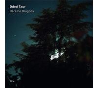 Here Be Dragons - Vinyle 33t