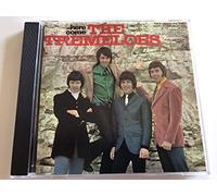Here Come The Tremeloes [Import]