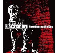 Here Comes the Dog by Flat Stanley