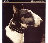 Here Comes Your Man - European Import