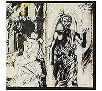 Marvin Gaye - Here My Dear [New CD]