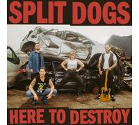 Here to Destroy/Red with Black Splatter