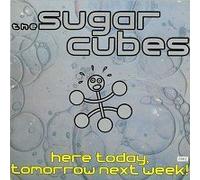 Here Today, Tomorrow Next Week (Limited & Numbered)