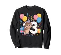 Hérisson 13e anniversaire garçon fille 13 ans hérisson Sweatshirt