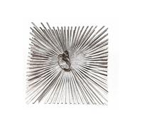 Hérisson en acier carré à anneaux pour conduits de cheminée 300 x 300 mm - PROGALVA - 1671