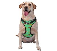 Hérissons et Feuilles,Harnais pour Animaux de Compagnie, Harnais réfléchissant réglable pour Chien,M