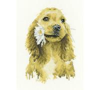 Heritage kit de point de croix compté Aida "Daisy Cocker Spaniel (A)", LCDA1896-