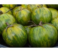 HÉRITAGE NON OGM Green Zebra tomate 25 graines