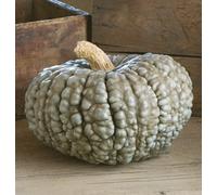 HÉRITAGE NON OGM Marina Di Chioggia hiver Squash/citrouille 15 graines