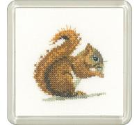 Heritage Point de Croix Set Aida "Ecureuil (a)", modèle à compter, cfrs1450-a, Coaster size 7,5x7,5cm