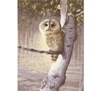 Heritage Point de Croix Set Aida "Veilleur de Nuit (A)", modèle à compter, WHNW738-A, 20x28cm
