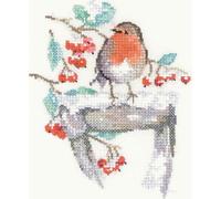 Heritage SCWA608E Kit point de croix compté Motif observations L 10 x 12 cm