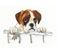 Heritage VJBY1436-A Kit de broderie au point de croix Aida "Bailey" 23 x 16 cm