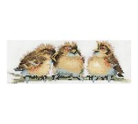 Heritage VPTC544E Kit point de croix compté avec motif « Trois ist eine Menge (L) » 20,5 x 9 cm