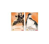 Herlitz Bloc de travail X.book A4, linéature 3, 50 feuilles 70 g