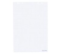 Herlitz 10408151 Bloc pour chevalet Papier recyclé/carreaux/80 g/m² 68 x 99 cm 20 feuilles (Import Allemagne)