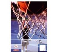 Herlitz Bloc à dessin 494310 G A3 100 g/m² 20 feuilles (1x)