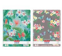 herlitz Collegeblock Ladylike DIN A4 quadrillé 80 feuilles motif aléatoire (1 pièce)