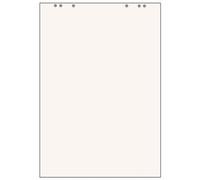 herlitz Lot de 5 Bloc Papier recyclé Paperboard 20f 80g 68 x 99 cm Unies