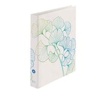herlitz Max.File 50033423 Classeur à 2 anneaux Vert Ginkgo Format A4
