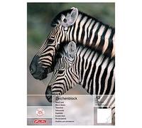 Herlitz Pivodex 494310 Support mural en plastique Noir