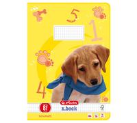 herlitz X.book exercise book, DIN A4, ruling 8f / squared