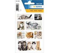 HERMA 15456 Lot de 24 autocollants animaux pour enfants de chat (24 autocollants, papier, mat) autocollants permanents Motif étiquettes pour filles et garçons Multicolore