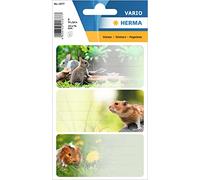 HERMA 1877 Lot de 9 étiquettes autocollantes autocollantes permanentes pour livres, cahiers, boîtes, maison, multicolores, 76 x 35 mm