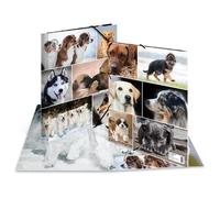 Herma Chemises à élastique A4 Animaux motif Chiens – carton robuste, impression intérieure