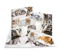 Herma Chemises à élastique Animaux motif Chats A4 — carton robuste, impression intérieure, 1 porteé