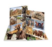 Herma Chemises à élastique Animaux d'Afrique A4, carton robuste, impression intérieure