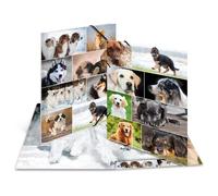 Herma 19218 Fichier Carton Multicolore A3