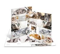 Herma Chemise à élastique motif Chats A3, carton robuste, impression intérieure