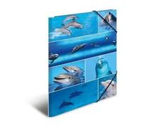 Herma Chemises à élastique motif Dauphins A3 – carton robuste, impression intérieure