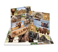 Herma Chemise à élastiques «Animaux d'Afrique» Carton A3 Noir G