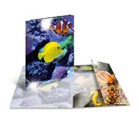 Herma Chemise à élastiques Poissons – PP brillant – A4 Noir G
